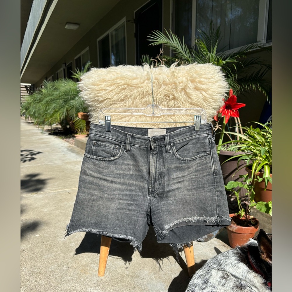 Everlane High Rise Shorts